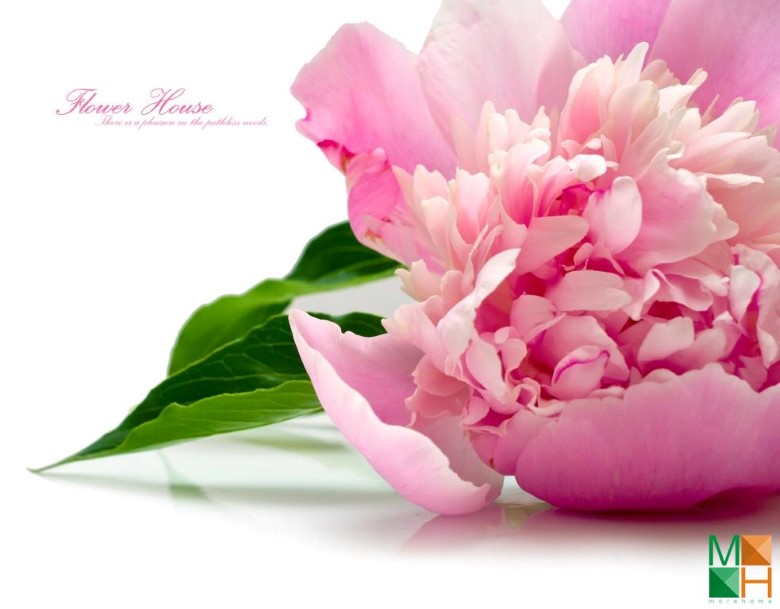 Tranh dán tường 3d đẹp cho phòng ngủ FW - 010